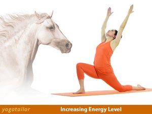 yoga energy horse tw 22716