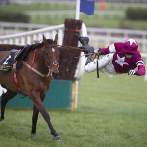 16124100_1879413772287548_5948383491388342272_n