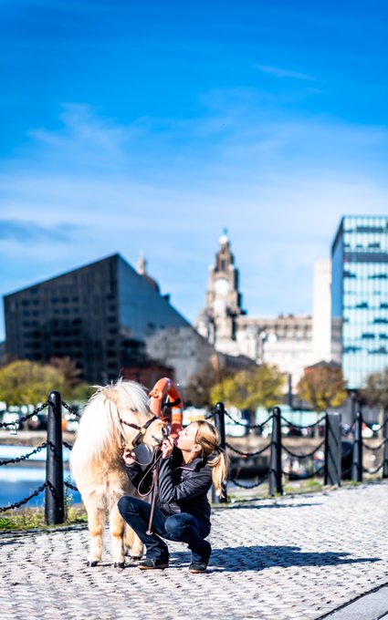 emma spencer teddy the shetland