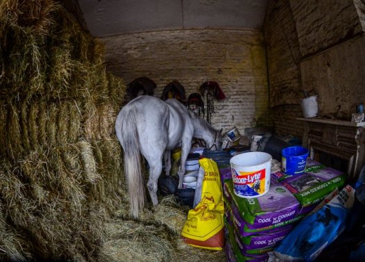 red millss roy rocket