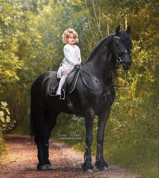 Screenshot_2019-10-09 #horsegirl hashtag on Instagram • Photos and Videos.png