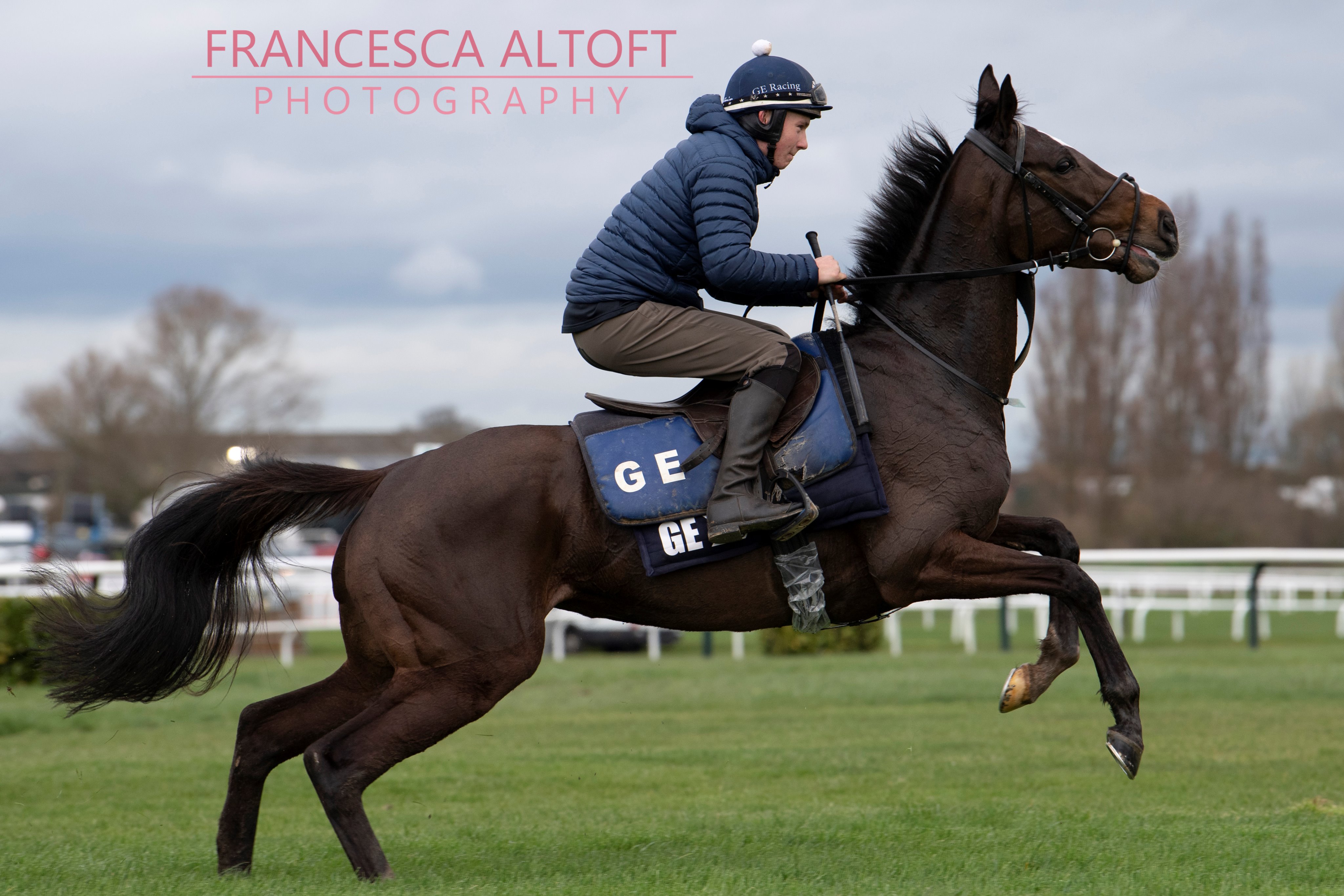 altoft photo black tears