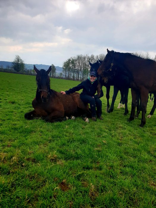 ana o'brien yearling