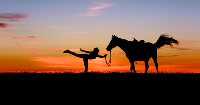 fei tips for improving fitness