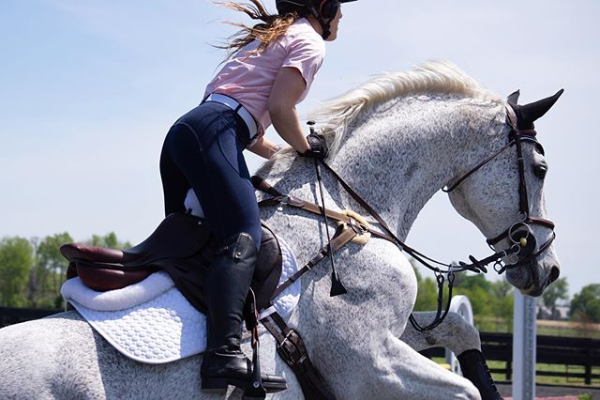 Screenshot_2020-05-02 #ariat hashtag on Instagram • Photos and Videos(1)