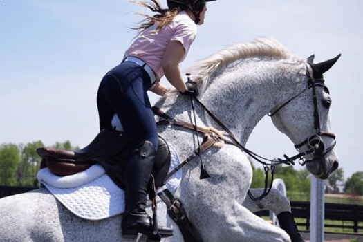 Screenshot_2020-05-02 #ariat hashtag on Instagram • Photos and Videos(1)