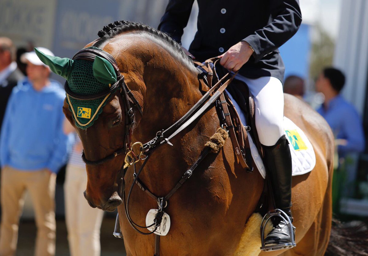 trm nutrition balanced diet