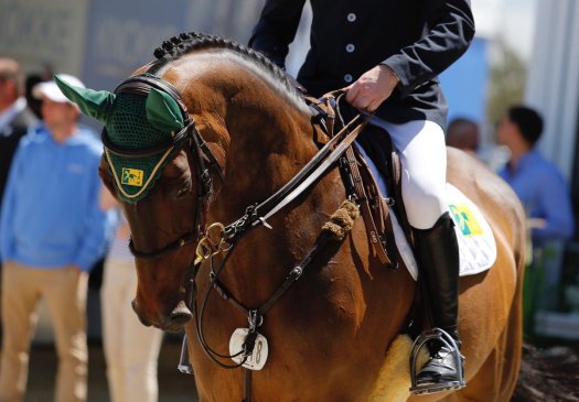 trm nutrition balanced diet