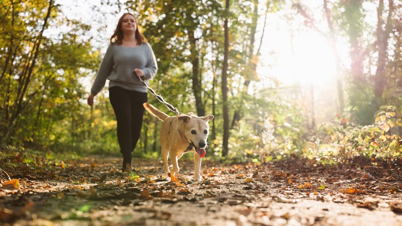 People with dogs know the benefits of pet ownership @MayoClinic ...